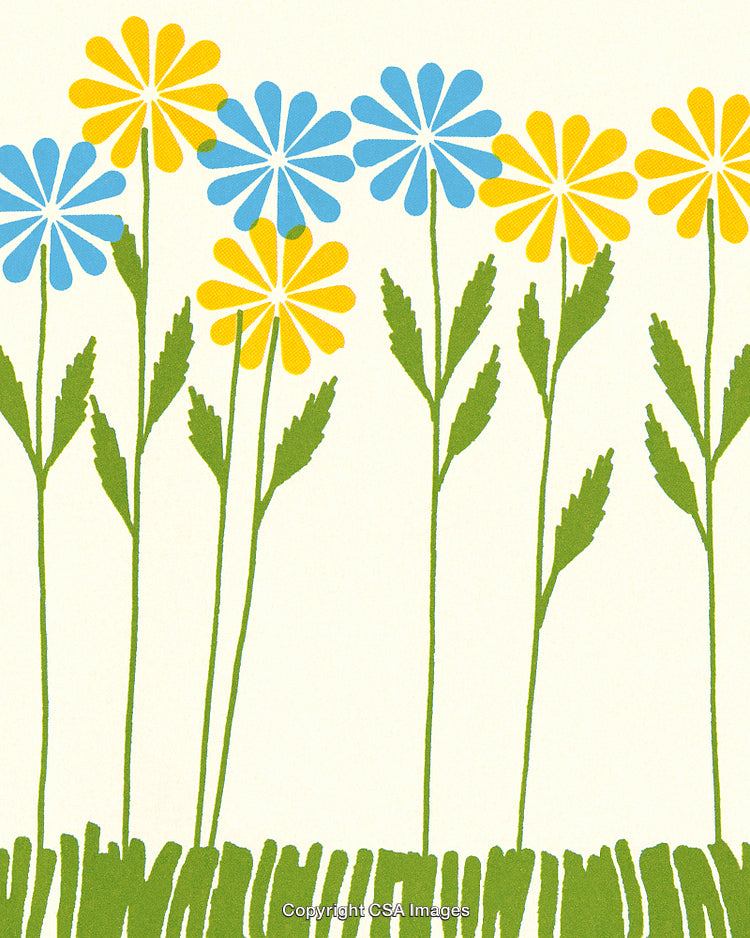 Colorful Floral Pattern With Blue and Yellow Daisies on White Background