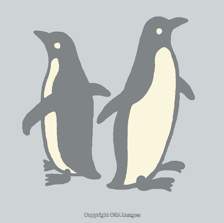 Color Illustration of Two Standing Penguins on a Gray Background