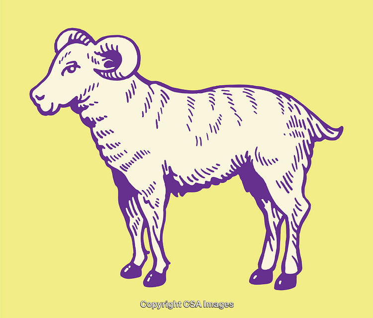 Color Line Art Illustration of a Ram Side Profile with Yellow Background