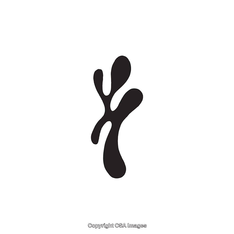 Abstract Black Dingbat Shape on White Background