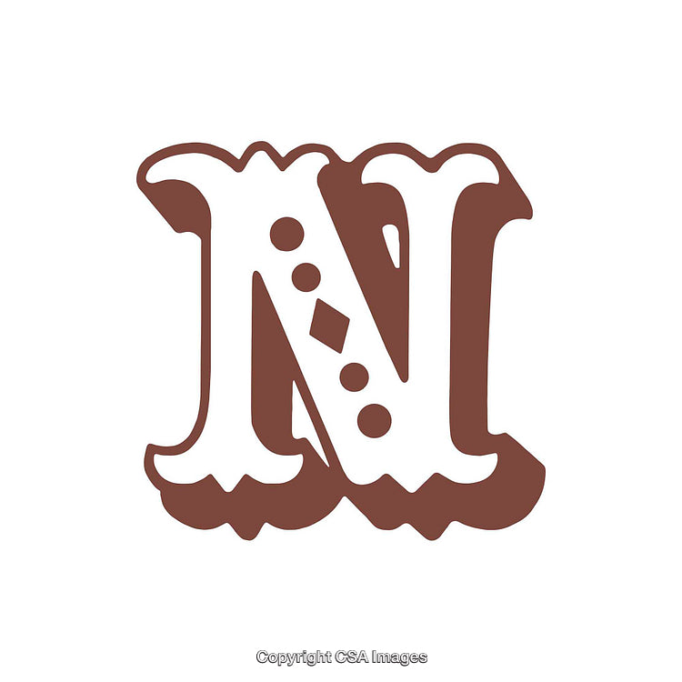 Elegant Typography Illustration Featuring The Decorative Letter N in Vintage Style