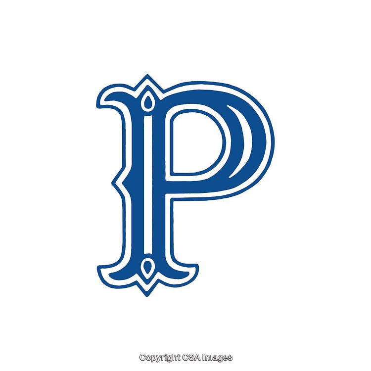 Intricately Designed Blue Letter 'P' On a White Background