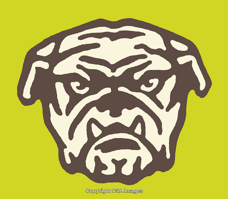 Bold Illustration of a Bulldog Face with a Green Background