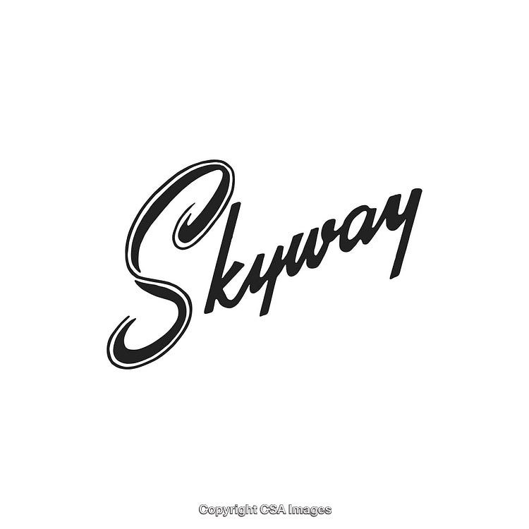 Modern Minimalist Logo Design with Elegant Script Font Style