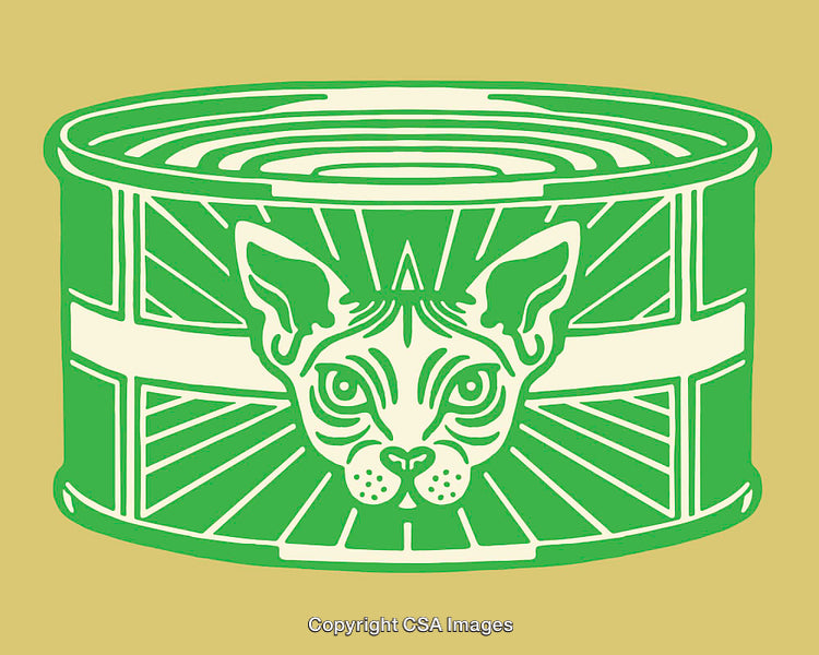 Colorful Line Art Can Illustration Featuring Cat Symbol With Patterns