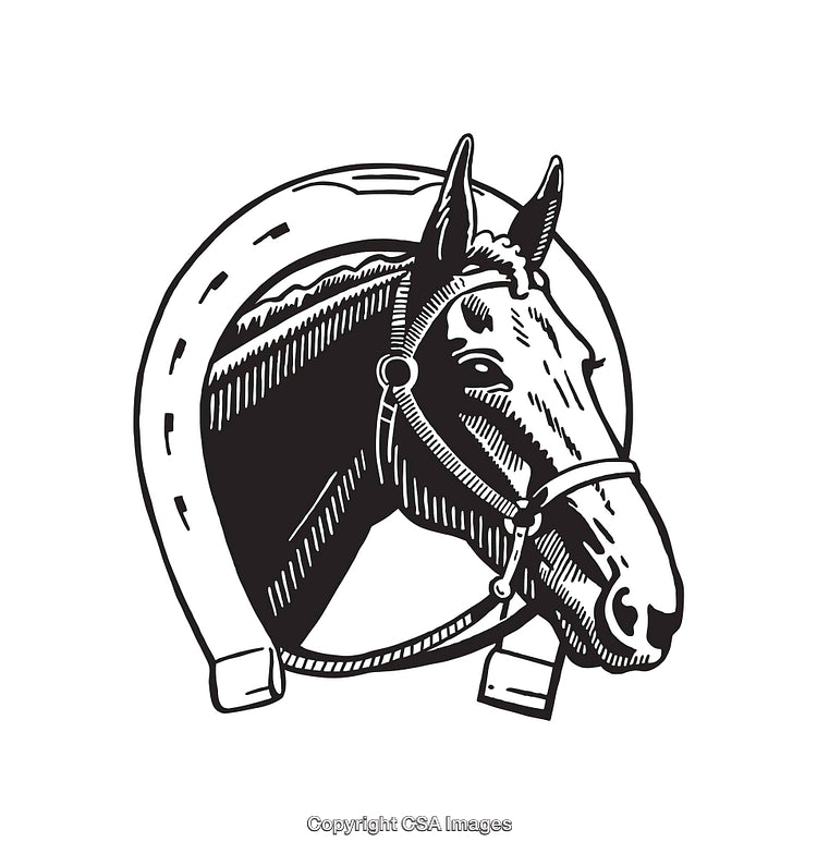 Horse and Horseshoe Line Art Illustration in Black and White Style