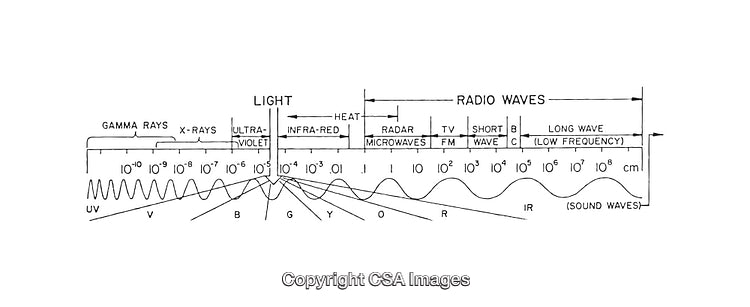 Detailed Black and White Diagram of the Electromagnetic Spectrum
