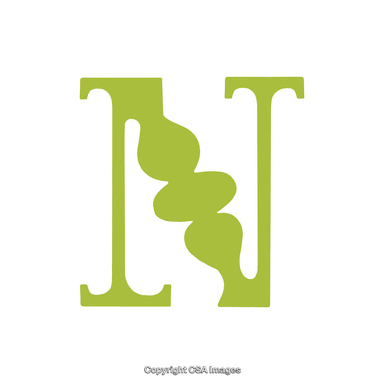 Creative Artistic Representation of the Letter N with Organic Green Shapes