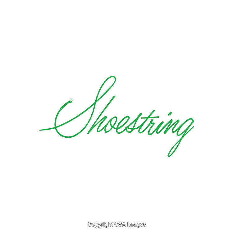 Simple Green Shoestring Text Design on a White Background