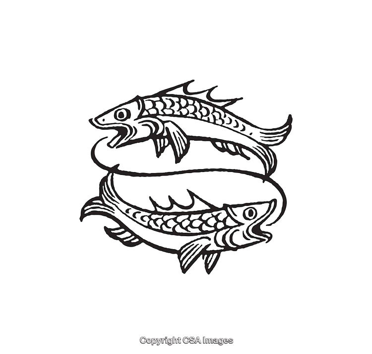 Detailed Black and White Line Art Illustration of Two Intertwined Fish