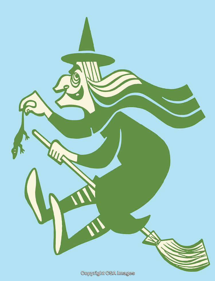 Color Line Art of a Witch Flying with a Frog Illustration