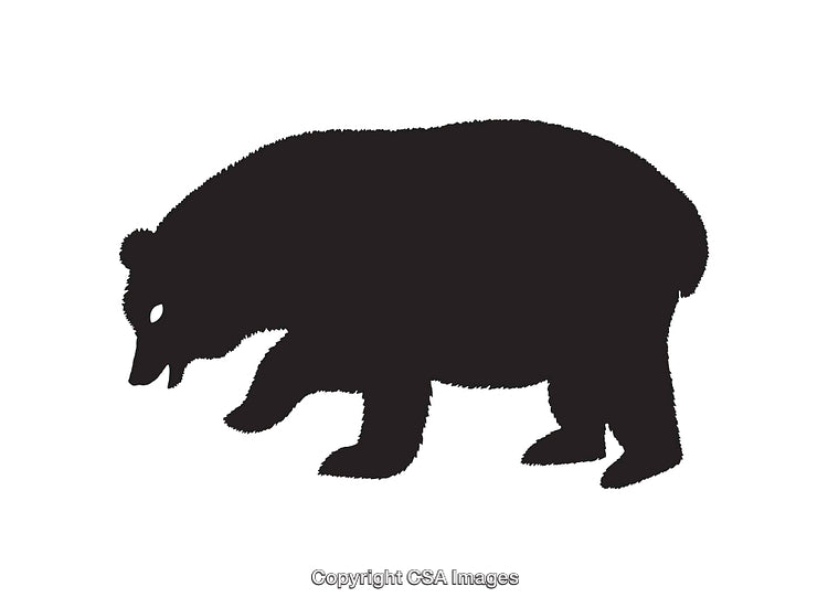 Black Silhouette Icon of a Bear in Walking Pose