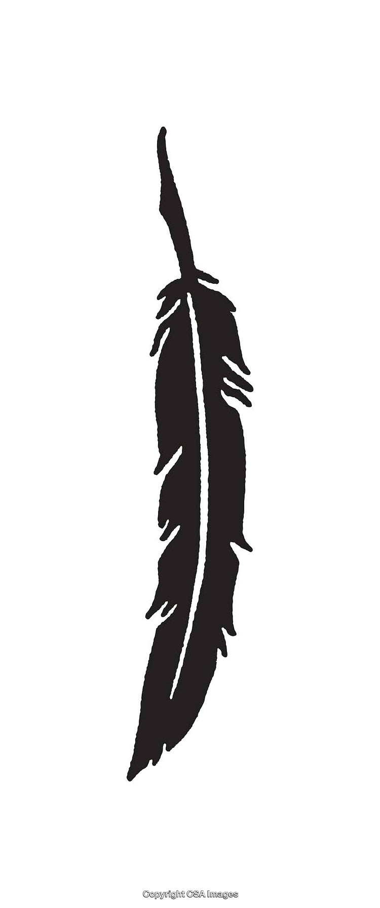 Black and White Feather Line Art to Illustrate Simplicity and Elegance