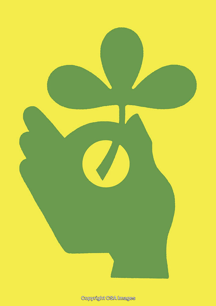 Hand Holding Green Plant Sprout On Yellow Background