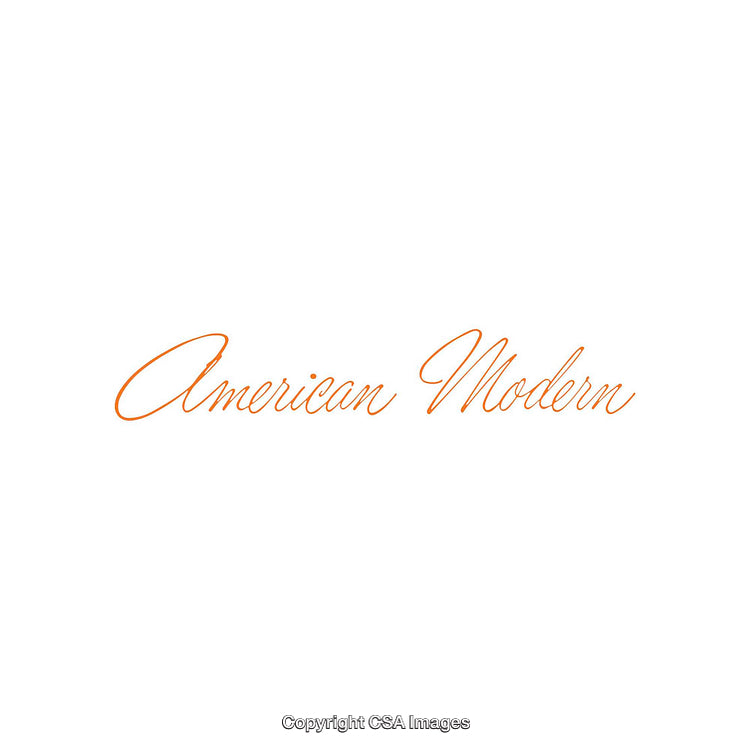 Stylized Handwritten Text Displaying 'American Modern' in Orange on White Background