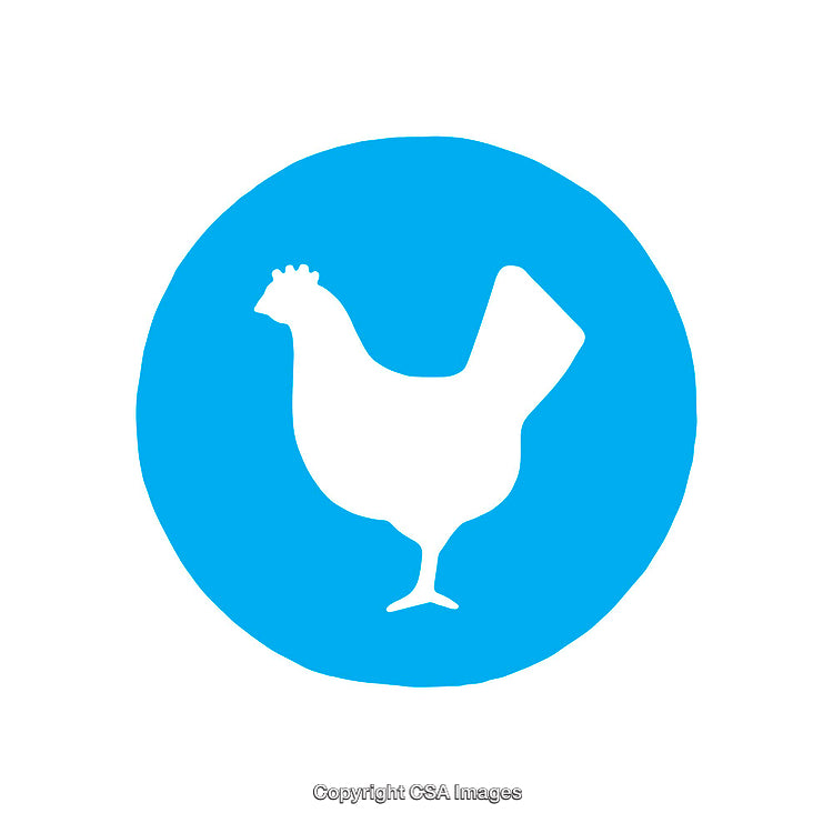 White Chicken Silhouette Inside a Blue Circle with Simple Design