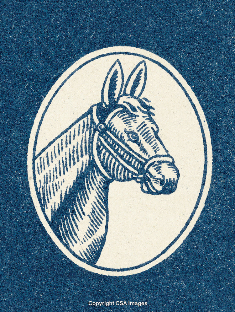 Vintage Illustration of a Horse's Head in a Classic Oval Frame