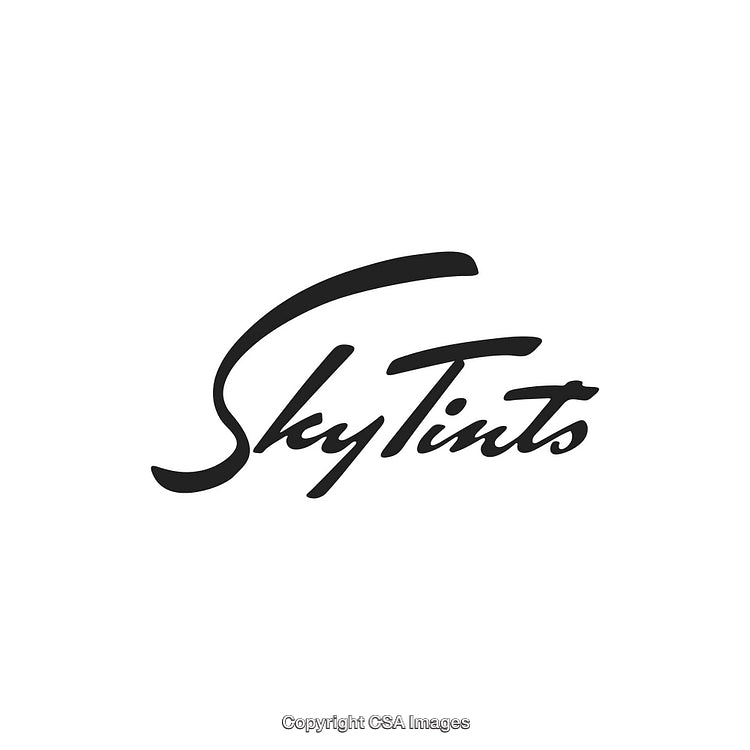 Stylish Handwritten SkyTints Logo Design in Black on White Background