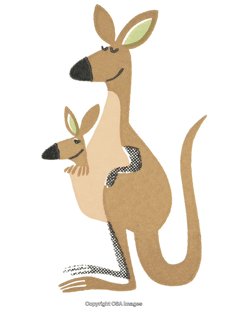 Mother Kangaroo With Joey in Pouch Illustration on White Background