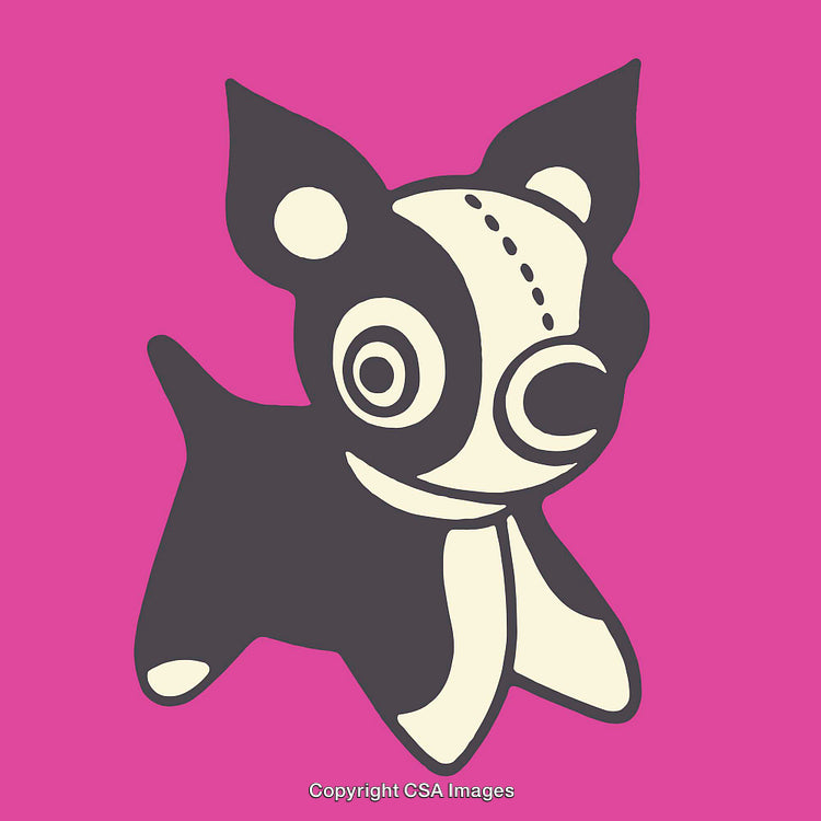 Stylized Black And White Dog Illustration on Vibrant Pink Background