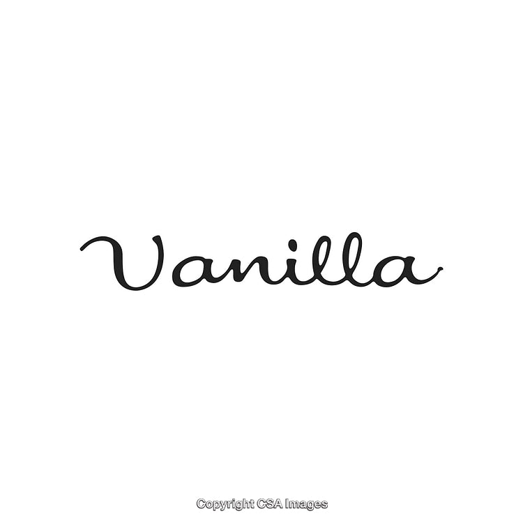 Minimalistic Vanilla Text Design in Elegant Script Style on White Background