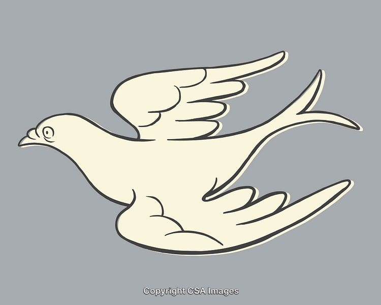 Minimalist Illustration of a Flying Bird in Line Art Style