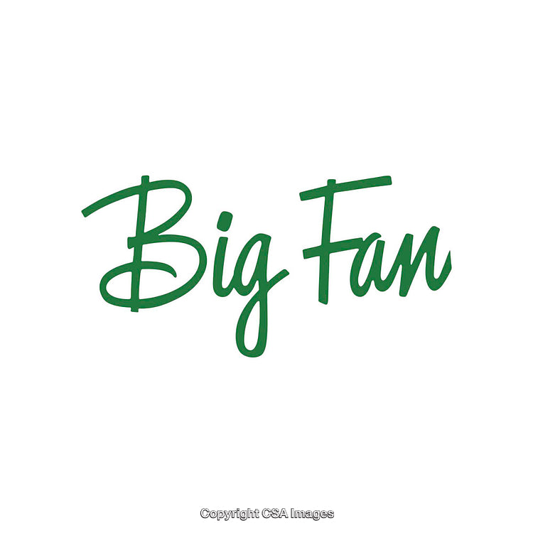 Clean Typography Artwork Featuring the Words 'Big Fan' in Green Script