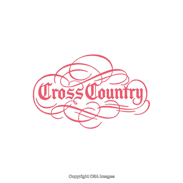 Elegant Decorative Script Logo with Pink Details on White Background