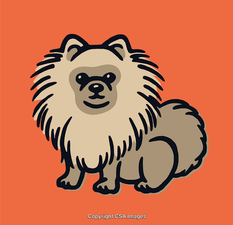 Stylized Illustration of Fluffy Dog in Vibrant Background