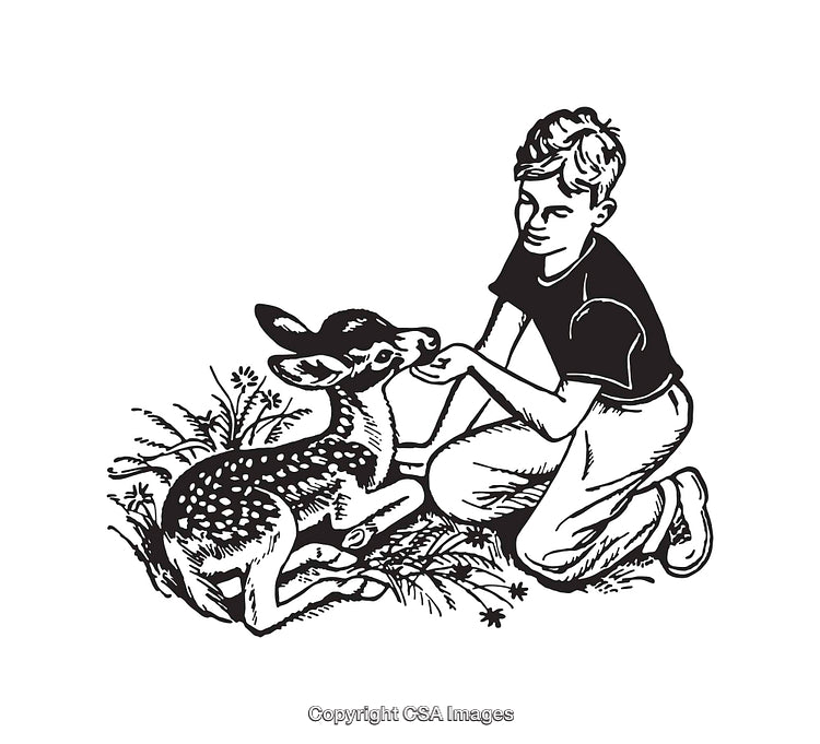 Boy Feeding a Resting Fawn in a Black and White Line Art Illustration