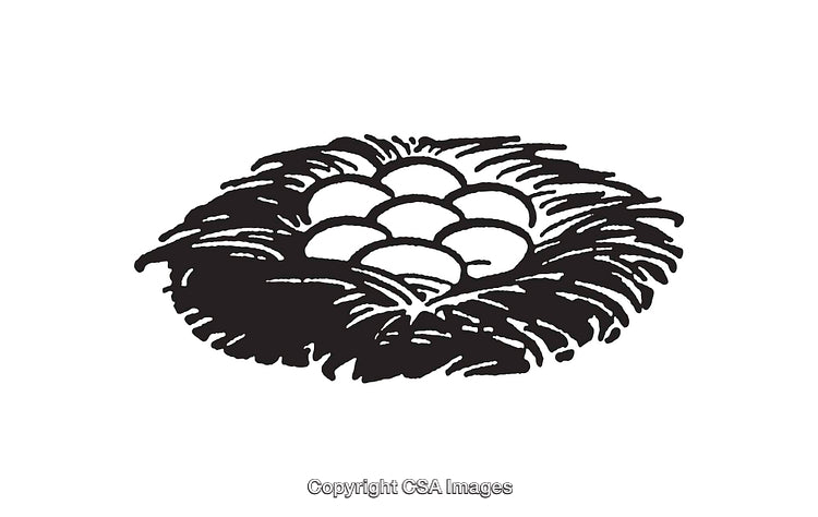 Black and White Illustration of Bird Nest with Eggs