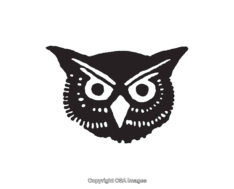 Black and White Line Art Illustration of an Owl Symbol