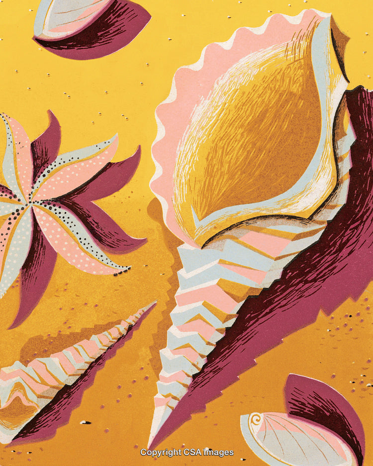 Abstract Seashell and Starfish Illustration With Warm Colors and Textured Design