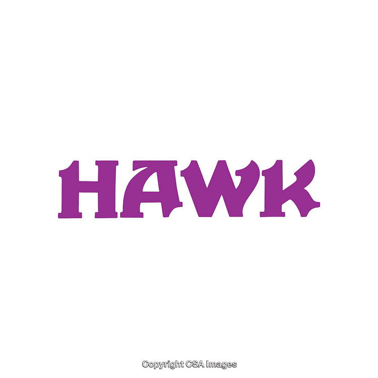 Bold Purple Hawk Typography on a Minimalist White Background