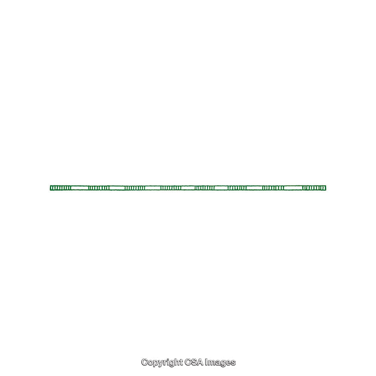 Thin and Straight Green Line Isolated on a White Background