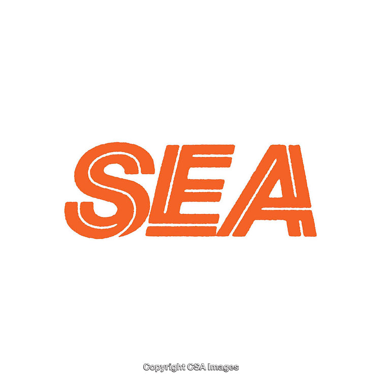 Bold Orange Typeface Design with the Word SEA in Capital Letters