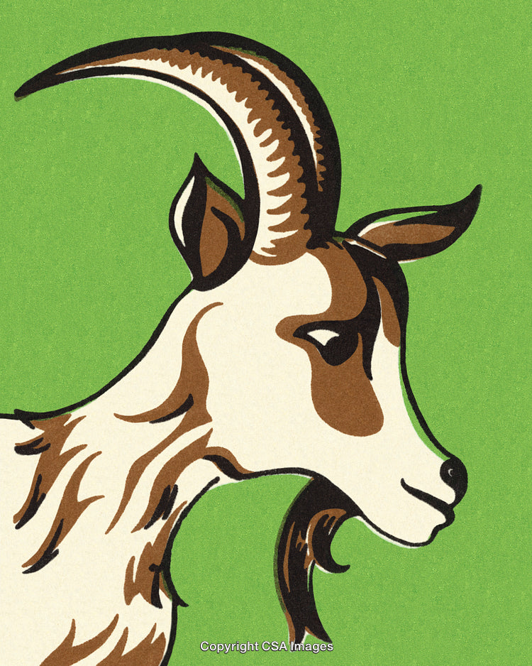 Illustrated Goat on Green Background with Brown Markings and Horns