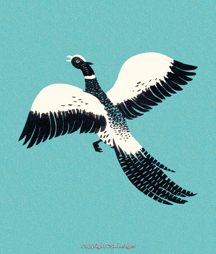 Illustrated Flying Bird with Open Wings Over a Blue Background