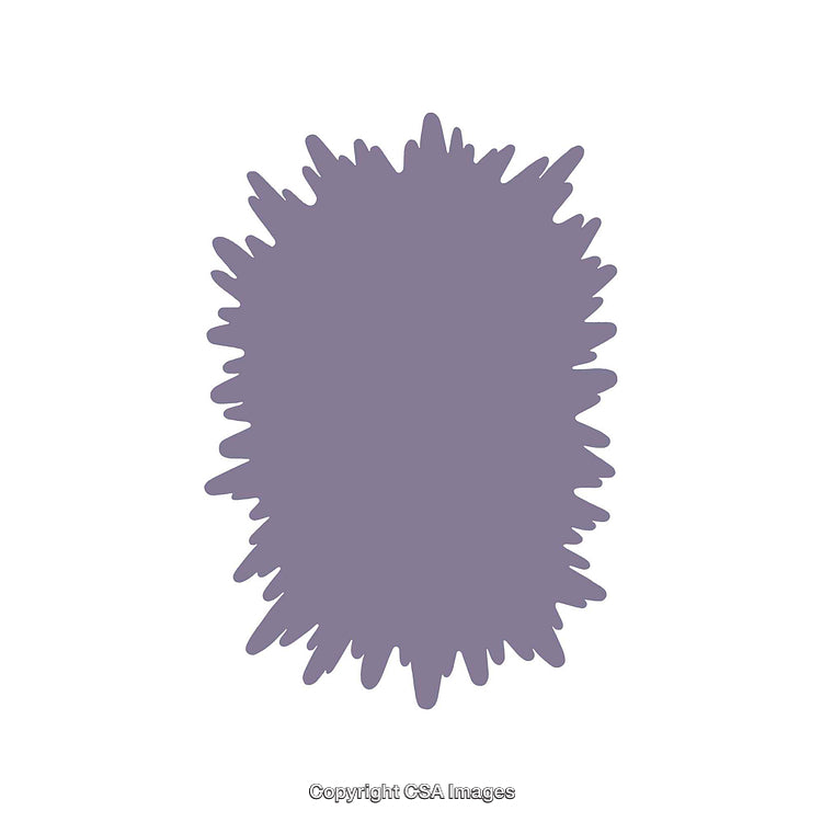 Abstract Purple Spiky Blob Shape Isolated on White Background