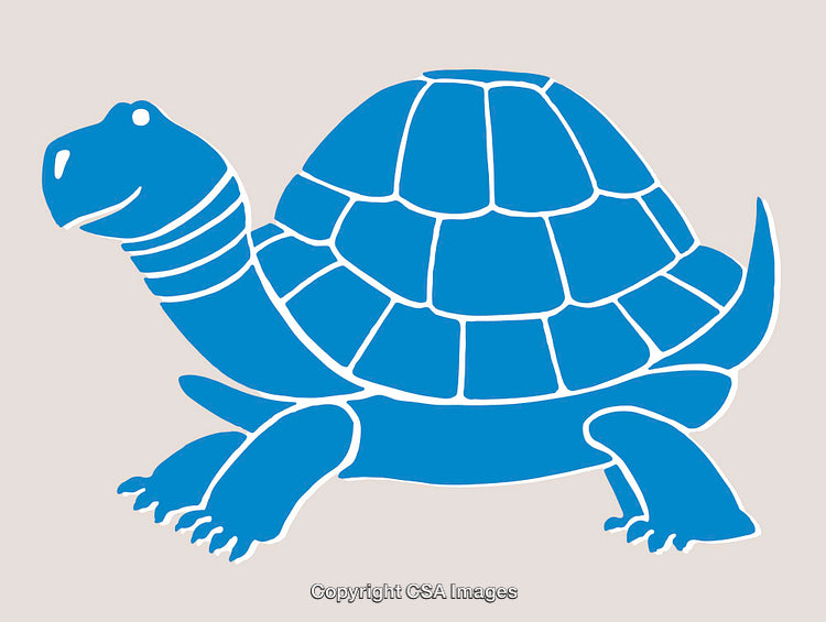 Blue Line Art Illustration of a Smiling Tortoise with Detailed Shell