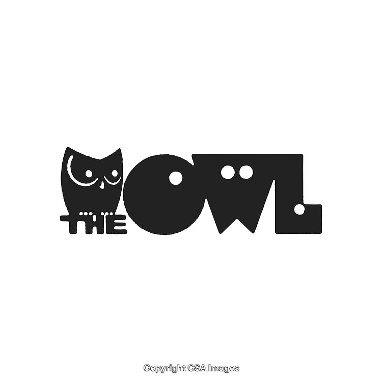 Stylized Black And White Logo Featuring an Owl Silhouette