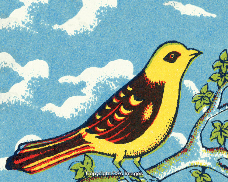 Vibrant Yellow Bird Perched on a Tree Against a Blue Sky