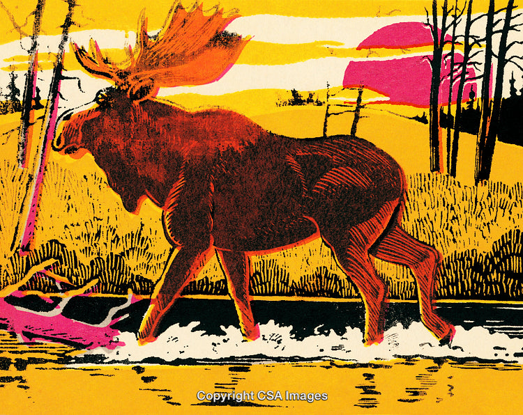 Vibrant Moose Illustration in a Natural Wetlands Landscape Setting