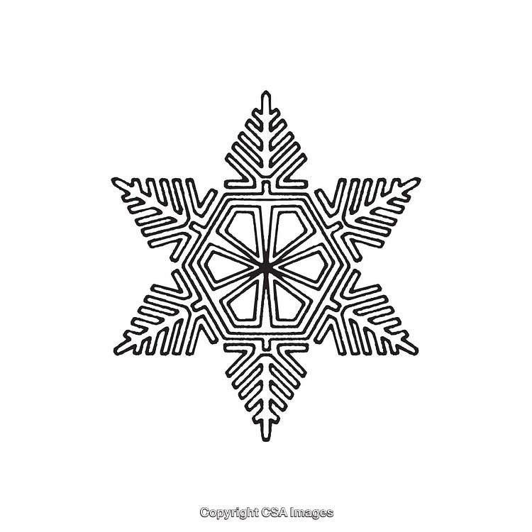 Intricate Black and White Snowflake Dingbat Symbol with Symmetrical Design