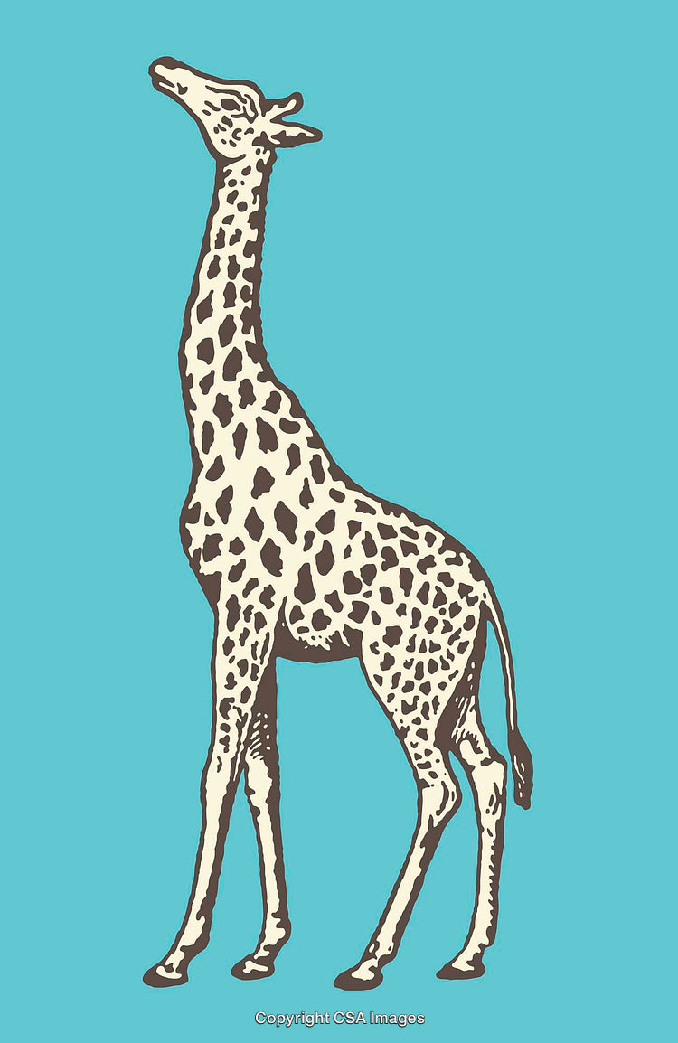 Elegant Giraffe Illustration on a Vibrant Blue Background