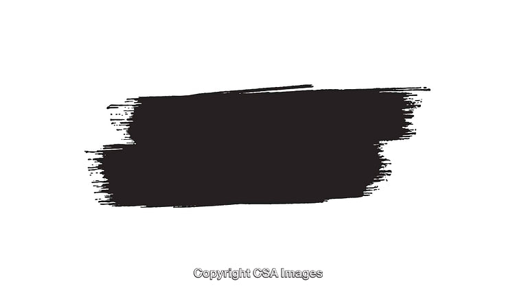 Black Brush Stroke Isolated on White Background, Vector Illustration