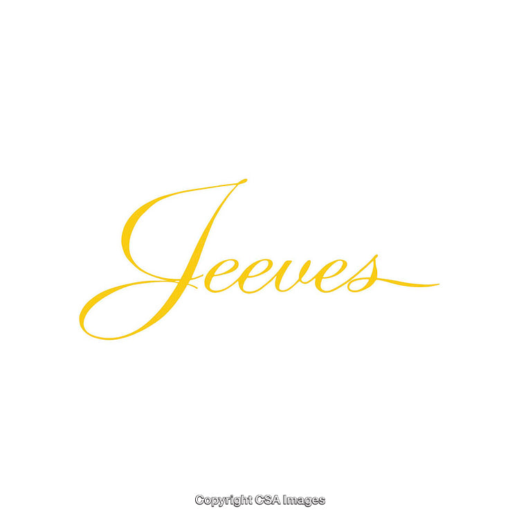 Elegant Yellow Script Calligraphy Featuring the Word 'Jeeves'