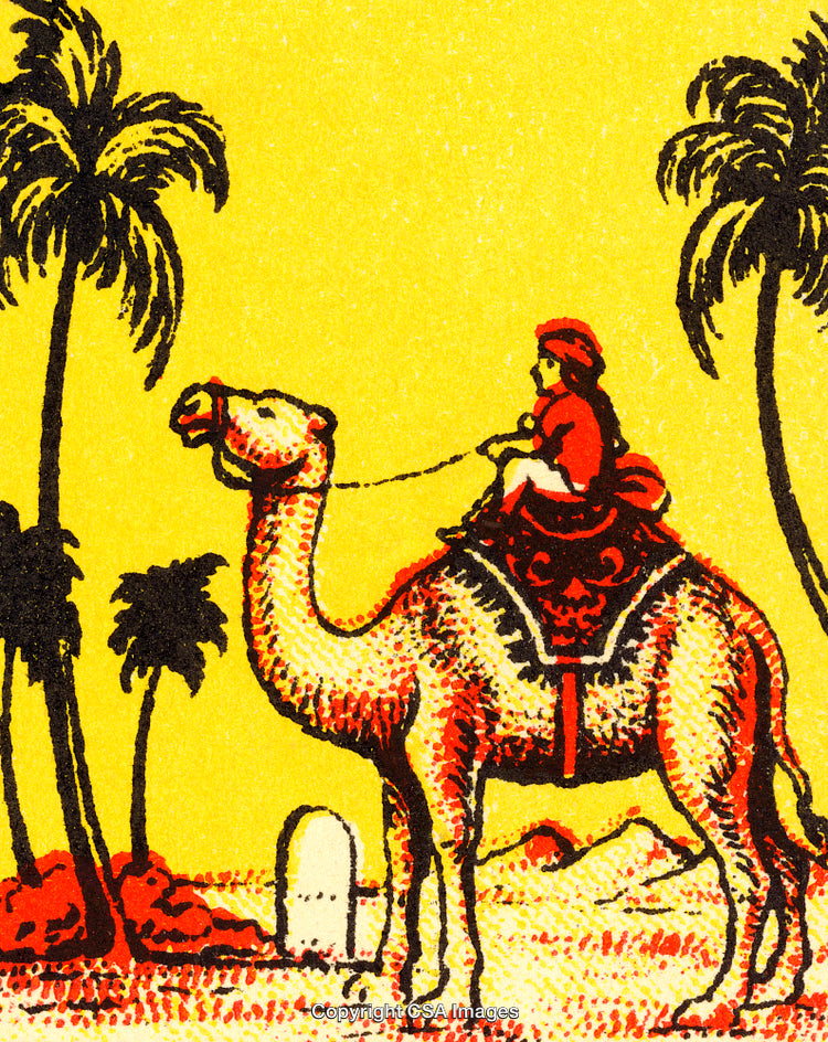 Vibrant Illustration of a Camel and Rider Amidst a Desert Landscape