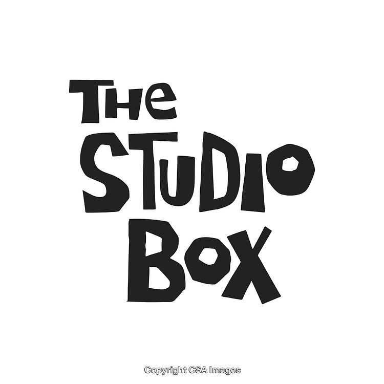 Bold Hand-Drawn Typography Design Featuring 'The Studio Box' Text