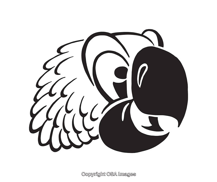 Black and White Line Art of a Parrot Illustration